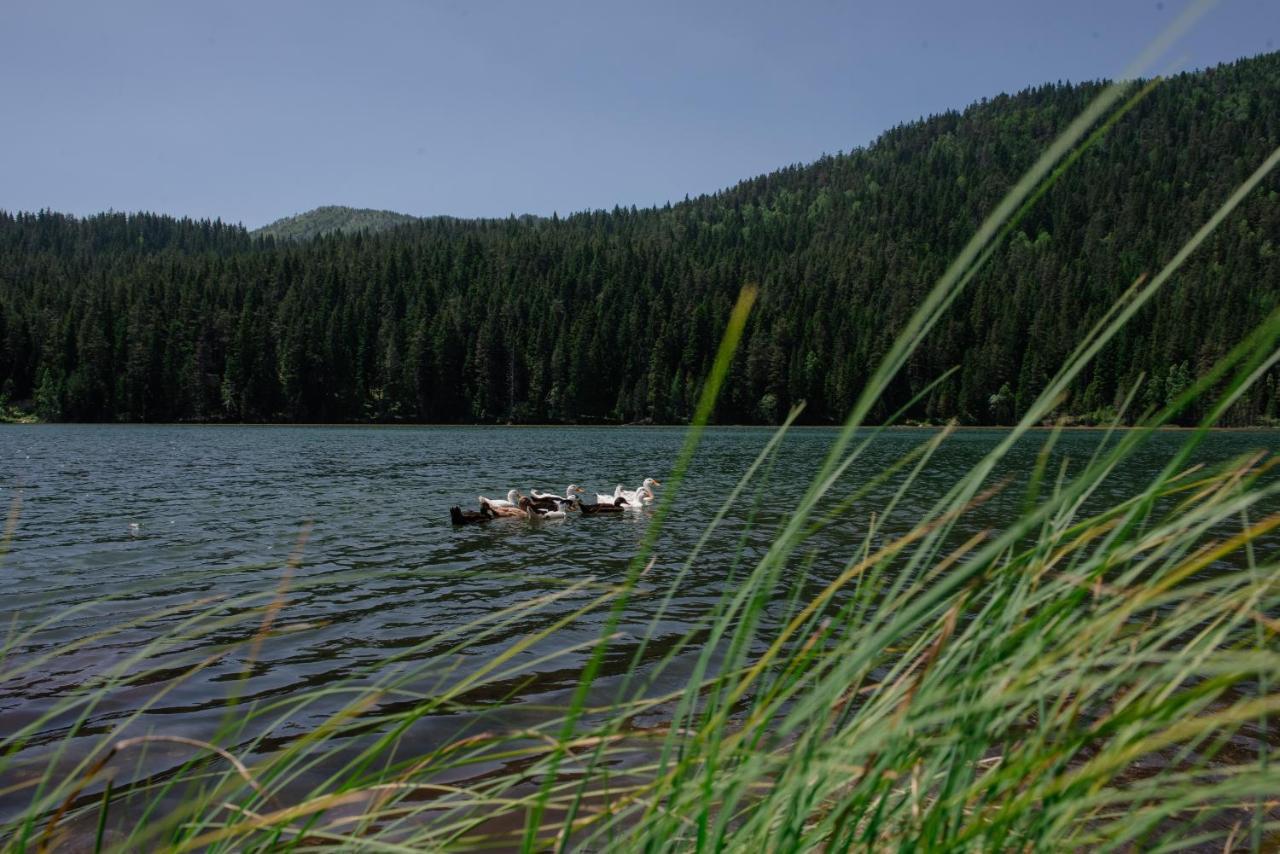Hotel Etno Selo Zminica Žabljak Esterno foto