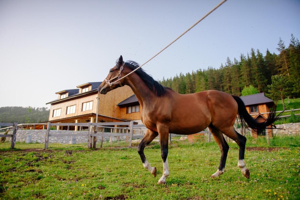 Hotel Etno Selo Zminica Žabljak Esterno foto